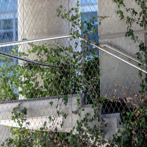 Sodronyhuzalok zöldhomlokzatokhoz