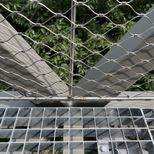 Lombkorona sétány Balatonboglár