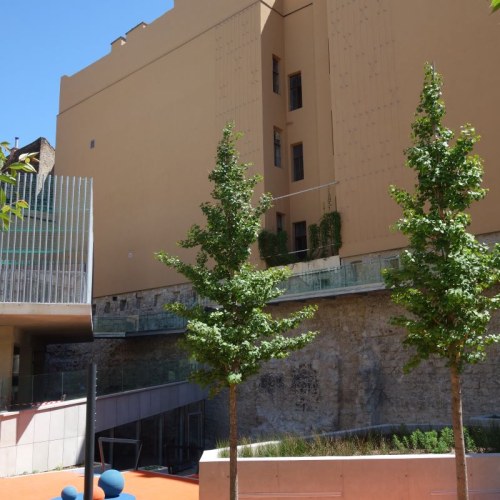 Sodronyhuzalok zöldhomlokzatokhoz - Park Vác