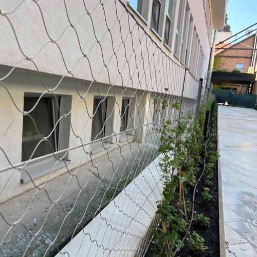 Sodronyhuzalok zöldhomlokzatokhoz - Tér Trnava