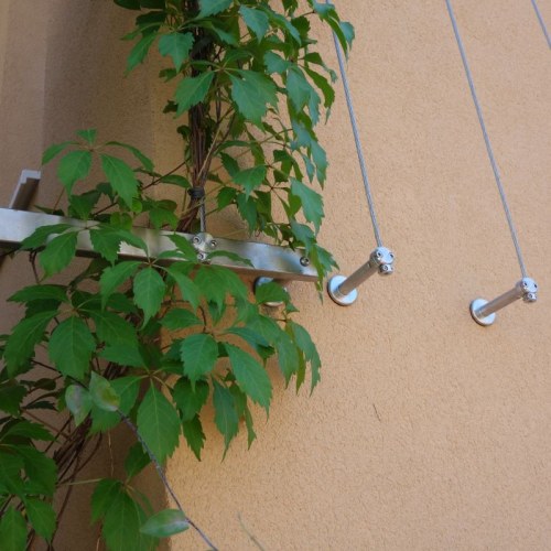 Sodronyhuzalok zöldhomlokzatokhoz - Park Vác