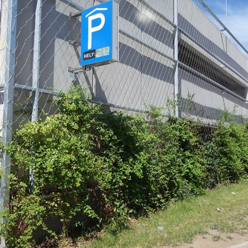 Sodronyhuzalok zöldhomlokzatokhoz