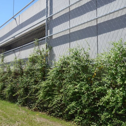 Sodronyhuzalok zöldhomlokzatokhoz - Parkolóház Eger