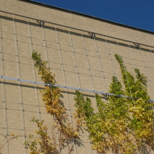 Sodronyhuzalok zöldhomlokzatokhoz