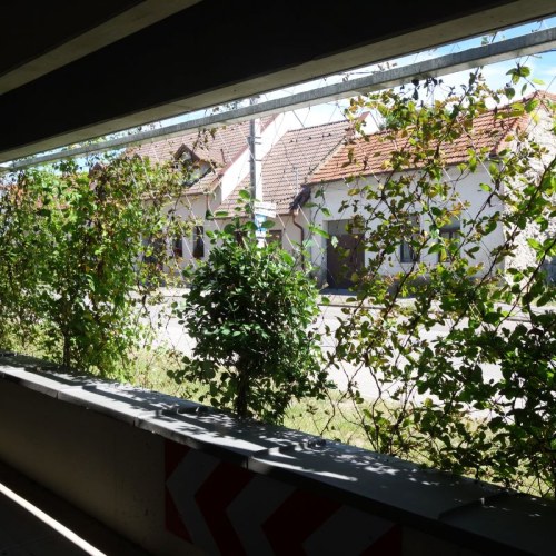 Sodronyhuzalok zöldhomlokzatokhoz - Parkolóház Eger