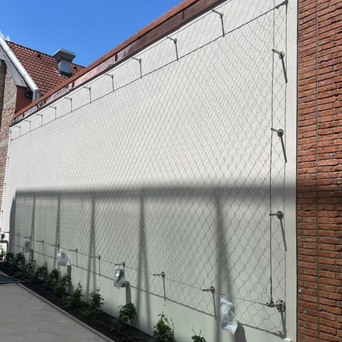 Sodronyhuzalok zöldhomlokzatokhoz - Tér Trnava