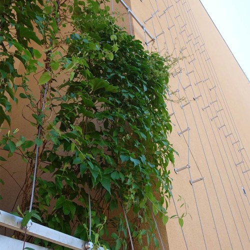 Sodronyhuzalok zöldhomlokzatokhoz